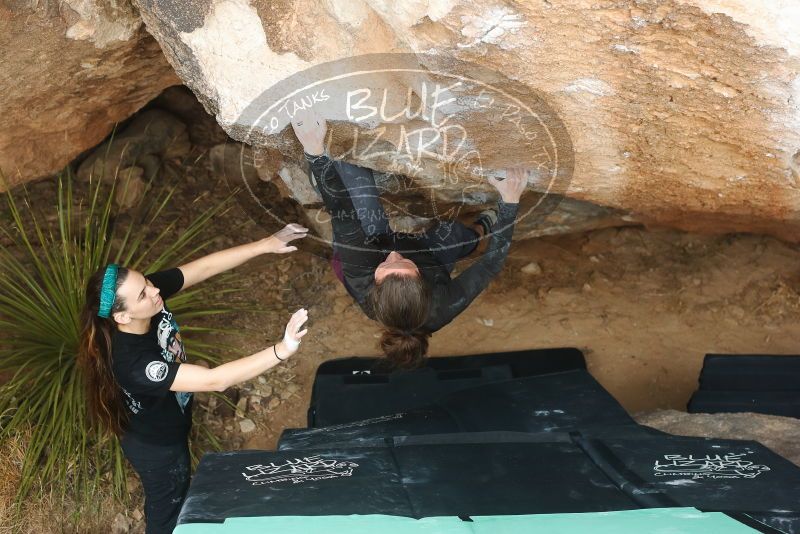 Bouldering in Hueco Tanks on 02/03/2019 with Blue Lizard Climbing and Yoga

Filename: SRM_20190203_1459490.jpg
Aperture: f/4.0
Shutter Speed: 1/320
Body: Canon EOS-1D Mark II
Lens: Canon EF 50mm f/1.8 II