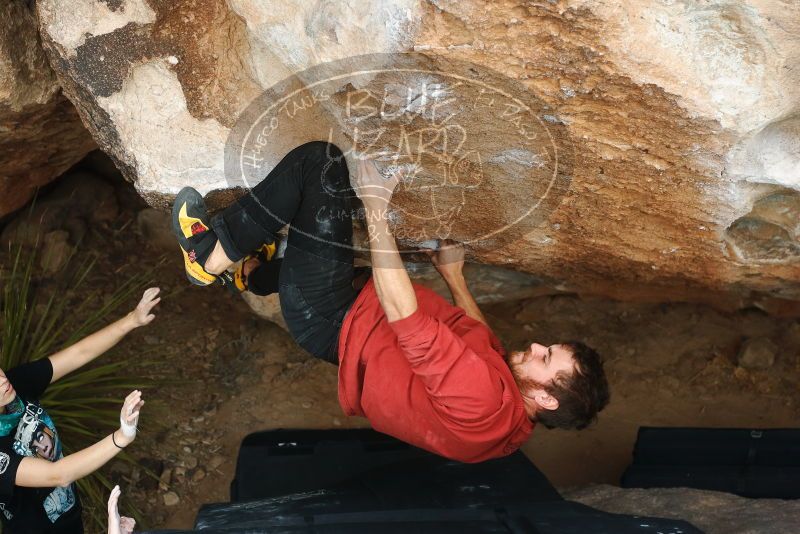 Bouldering in Hueco Tanks on 02/03/2019 with Blue Lizard Climbing and Yoga

Filename: SRM_20190203_1501420.jpg
Aperture: f/4.0
Shutter Speed: 1/640
Body: Canon EOS-1D Mark II
Lens: Canon EF 50mm f/1.8 II