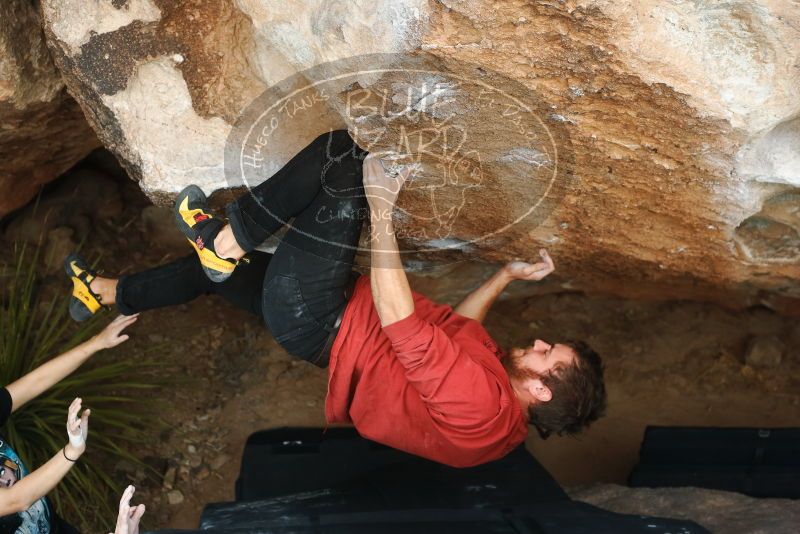 Bouldering in Hueco Tanks on 02/03/2019 with Blue Lizard Climbing and Yoga

Filename: SRM_20190203_1501450.jpg
Aperture: f/4.0
Shutter Speed: 1/640
Body: Canon EOS-1D Mark II
Lens: Canon EF 50mm f/1.8 II