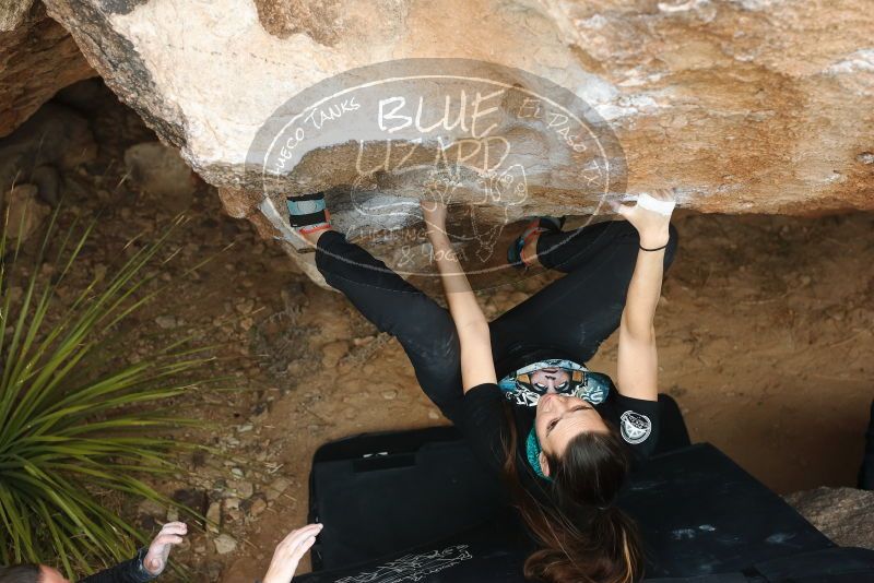 Bouldering in Hueco Tanks on 02/03/2019 with Blue Lizard Climbing and Yoga

Filename: SRM_20190203_1502400.jpg
Aperture: f/4.0
Shutter Speed: 1/400
Body: Canon EOS-1D Mark II
Lens: Canon EF 50mm f/1.8 II