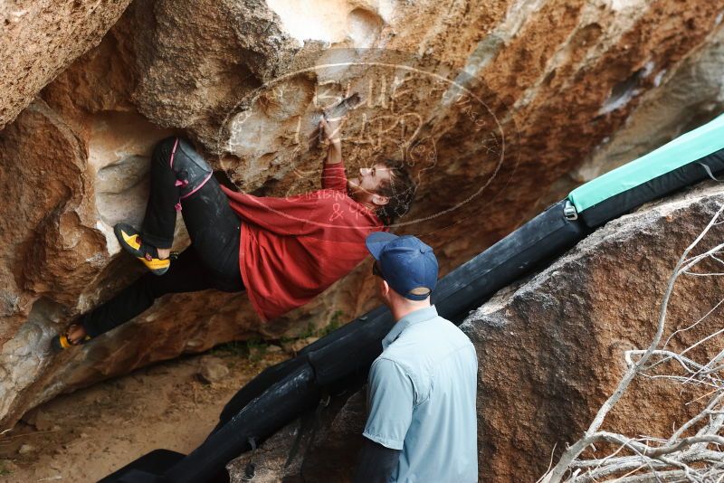 Bouldering in Hueco Tanks on 02/03/2019 with Blue Lizard Climbing and Yoga

Filename: SRM_20190203_1511000.jpg
Aperture: f/4.0
Shutter Speed: 1/250
Body: Canon EOS-1D Mark II
Lens: Canon EF 50mm f/1.8 II