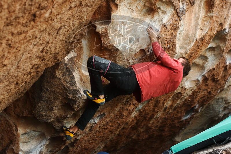 Bouldering in Hueco Tanks on 02/03/2019 with Blue Lizard Climbing and Yoga

Filename: SRM_20190203_1511190.jpg
Aperture: f/4.0
Shutter Speed: 1/500
Body: Canon EOS-1D Mark II
Lens: Canon EF 50mm f/1.8 II