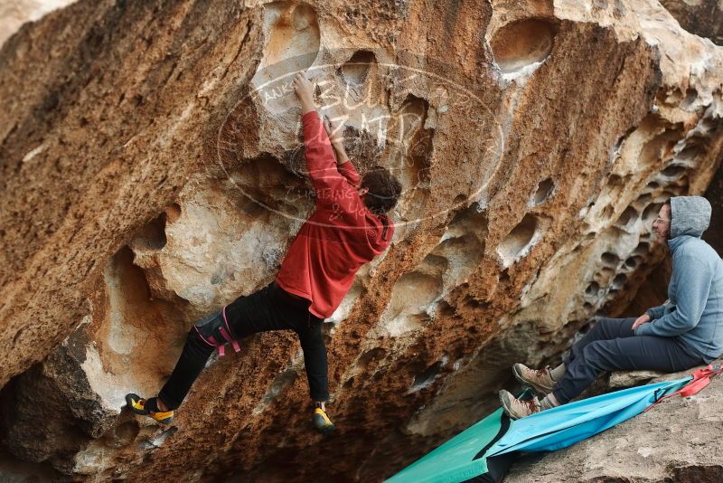 Bouldering in Hueco Tanks on 02/03/2019 with Blue Lizard Climbing and Yoga

Filename: SRM_20190203_1519190.jpg
Aperture: f/4.0
Shutter Speed: 1/800
Body: Canon EOS-1D Mark II
Lens: Canon EF 50mm f/1.8 II