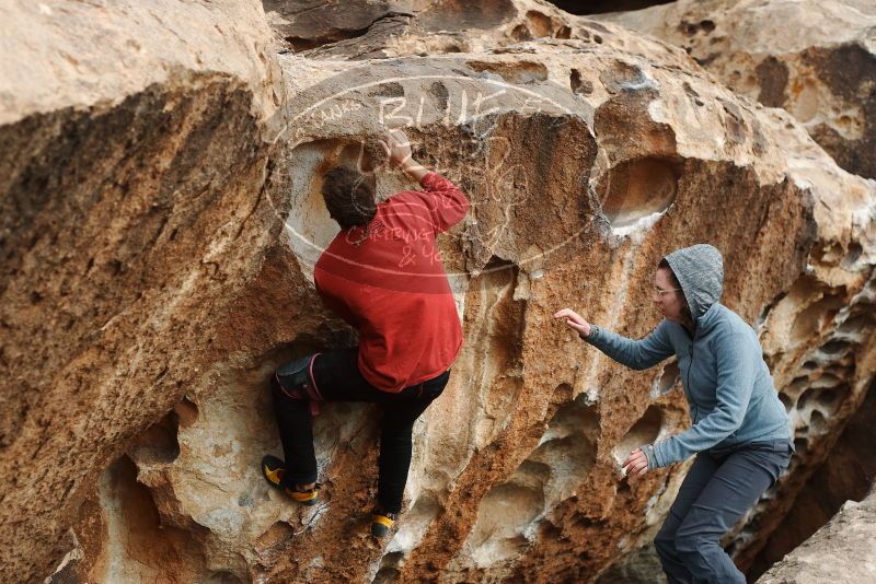 Bouldering in Hueco Tanks on 02/03/2019 with Blue Lizard Climbing and Yoga

Filename: SRM_20190203_1519240.jpg
Aperture: f/4.0
Shutter Speed: 1/1000
Body: Canon EOS-1D Mark II
Lens: Canon EF 50mm f/1.8 II