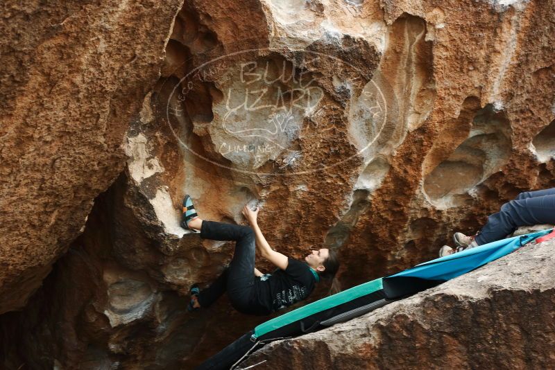 Bouldering in Hueco Tanks on 02/03/2019 with Blue Lizard Climbing and Yoga

Filename: SRM_20190203_1531580.jpg
Aperture: f/5.6
Shutter Speed: 1/100
Body: Canon EOS-1D Mark II
Lens: Canon EF 50mm f/1.8 II