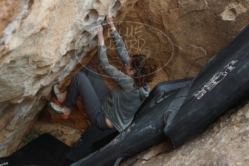 Bouldering in Hueco Tanks on 02/03/2019 with Blue Lizard Climbing and Yoga

Filename: SRM_20190203_1544180.jpg
Aperture: f/3.5
Shutter Speed: 1/320
Body: Canon EOS-1D Mark II
Lens: Canon EF 50mm f/1.8 II