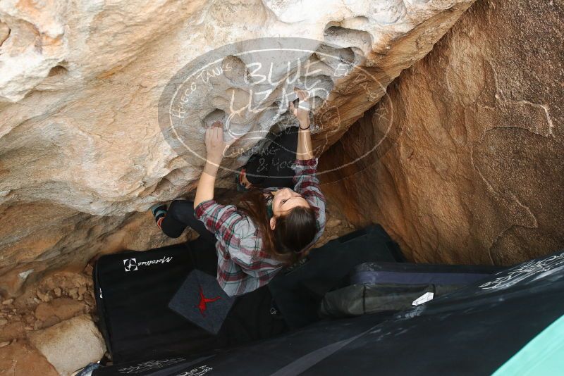 Bouldering in Hueco Tanks on 02/03/2019 with Blue Lizard Climbing and Yoga

Filename: SRM_20190203_1548040.jpg
Aperture: f/5.0
Shutter Speed: 1/250
Body: Canon EOS-1D Mark II
Lens: Canon EF 16-35mm f/2.8 L