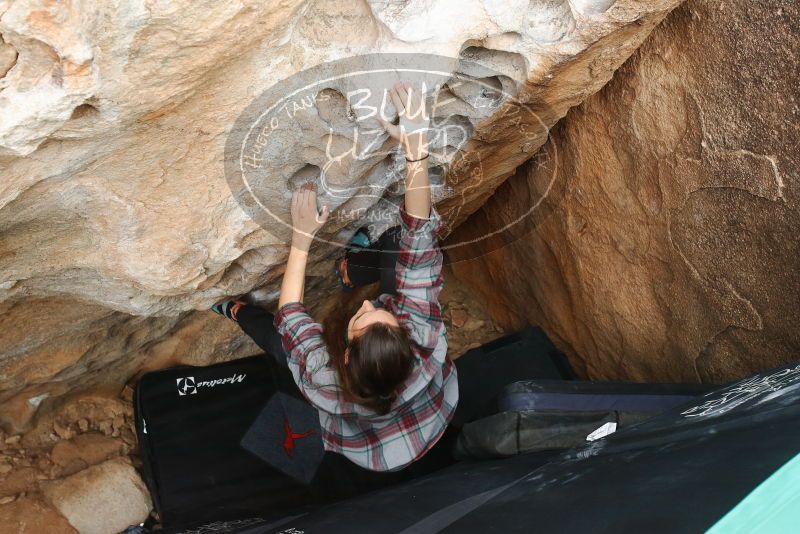 Bouldering in Hueco Tanks on 02/03/2019 with Blue Lizard Climbing and Yoga

Filename: SRM_20190203_1548041.jpg
Aperture: f/5.0
Shutter Speed: 1/250
Body: Canon EOS-1D Mark II
Lens: Canon EF 16-35mm f/2.8 L