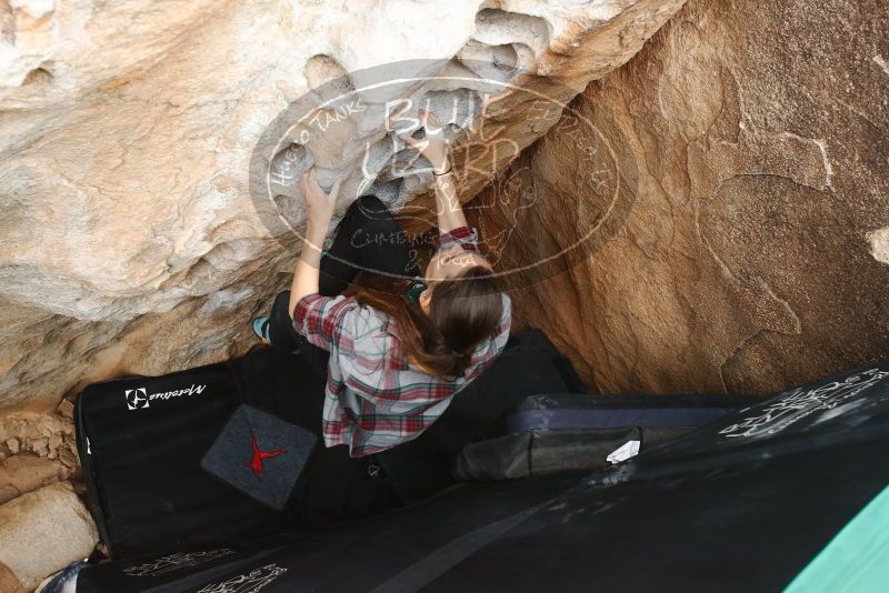 Bouldering in Hueco Tanks on 02/03/2019 with Blue Lizard Climbing and Yoga

Filename: SRM_20190203_1549390.jpg
Aperture: f/5.0
Shutter Speed: 1/200
Body: Canon EOS-1D Mark II
Lens: Canon EF 16-35mm f/2.8 L