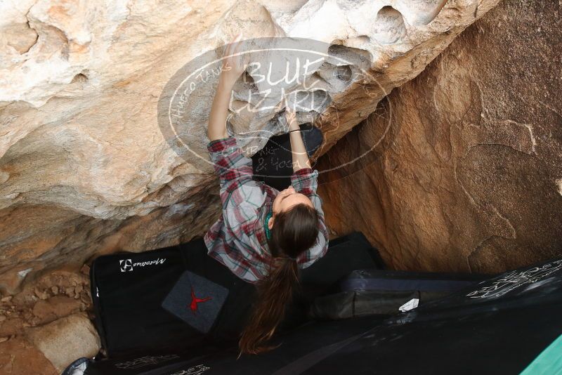 Bouldering in Hueco Tanks on 02/03/2019 with Blue Lizard Climbing and Yoga

Filename: SRM_20190203_1551190.jpg
Aperture: f/5.0
Shutter Speed: 1/320
Body: Canon EOS-1D Mark II
Lens: Canon EF 16-35mm f/2.8 L