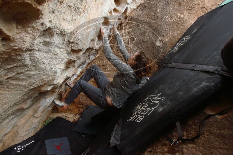 Bouldering in Hueco Tanks on 02/03/2019 with Blue Lizard Climbing and Yoga

Filename: SRM_20190203_1553140.jpg
Aperture: f/5.0
Shutter Speed: 1/125
Body: Canon EOS-1D Mark II
Lens: Canon EF 16-35mm f/2.8 L