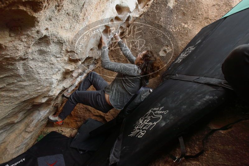 Bouldering in Hueco Tanks on 02/03/2019 with Blue Lizard Climbing and Yoga

Filename: SRM_20190203_1553150.jpg
Aperture: f/5.0
Shutter Speed: 1/160
Body: Canon EOS-1D Mark II
Lens: Canon EF 16-35mm f/2.8 L