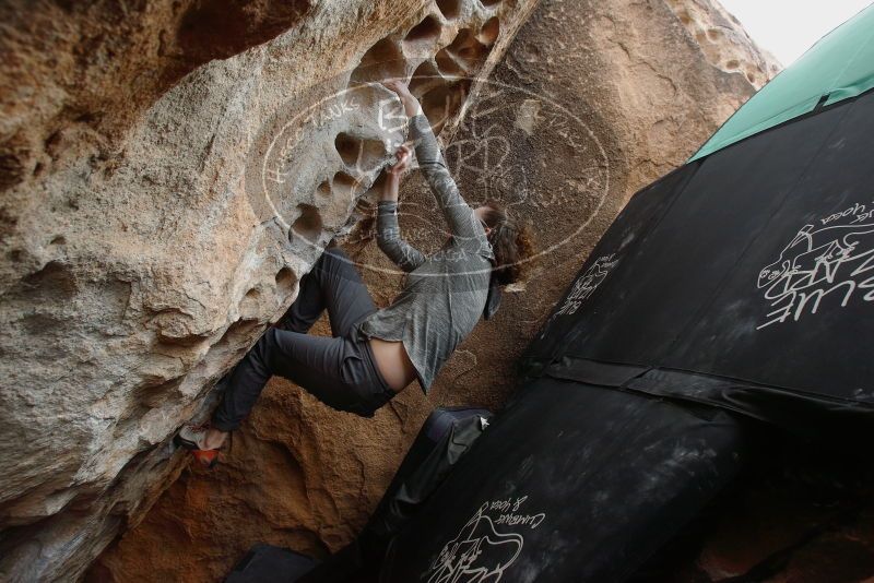 Bouldering in Hueco Tanks on 02/03/2019 with Blue Lizard Climbing and Yoga

Filename: SRM_20190203_1554370.jpg
Aperture: f/5.0
Shutter Speed: 1/320
Body: Canon EOS-1D Mark II
Lens: Canon EF 16-35mm f/2.8 L