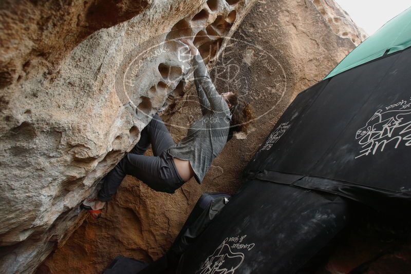 Bouldering in Hueco Tanks on 02/03/2019 with Blue Lizard Climbing and Yoga

Filename: SRM_20190203_1554371.jpg
Aperture: f/5.0
Shutter Speed: 1/250
Body: Canon EOS-1D Mark II
Lens: Canon EF 16-35mm f/2.8 L