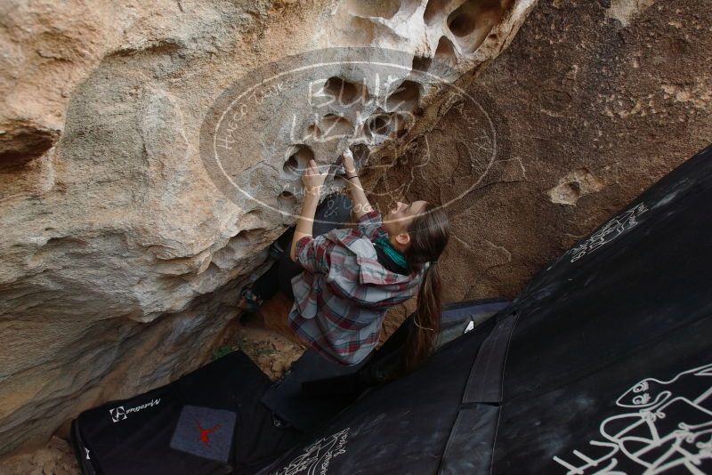 Bouldering in Hueco Tanks on 02/03/2019 with Blue Lizard Climbing and Yoga

Filename: SRM_20190203_1557160.jpg
Aperture: f/5.0
Shutter Speed: 1/320
Body: Canon EOS-1D Mark II
Lens: Canon EF 16-35mm f/2.8 L