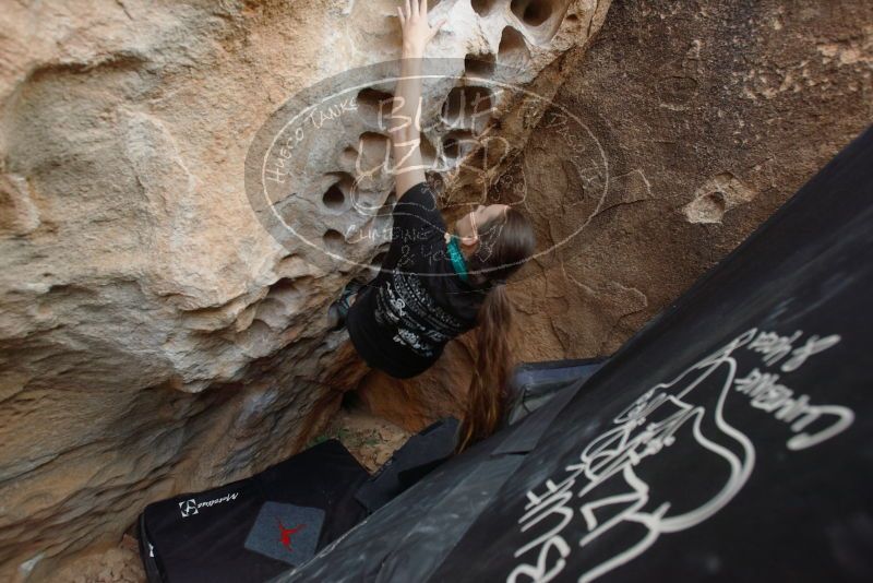 Bouldering in Hueco Tanks on 02/03/2019 with Blue Lizard Climbing and Yoga

Filename: SRM_20190203_1557530.jpg
Aperture: f/5.0
Shutter Speed: 1/250
Body: Canon EOS-1D Mark II
Lens: Canon EF 16-35mm f/2.8 L