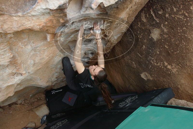 Bouldering in Hueco Tanks on 02/03/2019 with Blue Lizard Climbing and Yoga

Filename: SRM_20190203_1558190.jpg
Aperture: f/5.0
Shutter Speed: 1/640
Body: Canon EOS-1D Mark II
Lens: Canon EF 16-35mm f/2.8 L