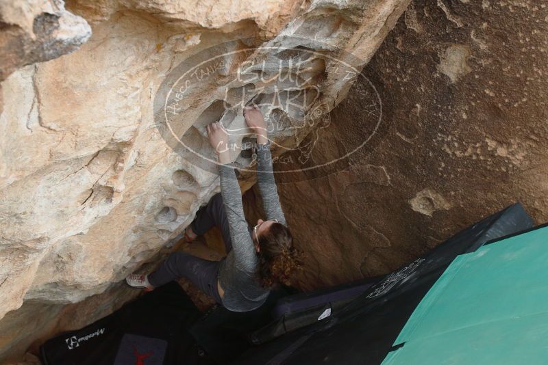 Bouldering in Hueco Tanks on 02/03/2019 with Blue Lizard Climbing and Yoga

Filename: SRM_20190203_1602220.jpg
Aperture: f/5.0
Shutter Speed: 1/640
Body: Canon EOS-1D Mark II
Lens: Canon EF 16-35mm f/2.8 L