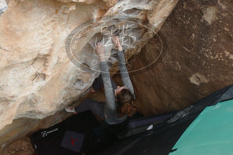 Bouldering in Hueco Tanks on 02/03/2019 with Blue Lizard Climbing and Yoga

Filename: SRM_20190203_1602221.jpg
Aperture: f/5.0
Shutter Speed: 1/640
Body: Canon EOS-1D Mark II
Lens: Canon EF 16-35mm f/2.8 L