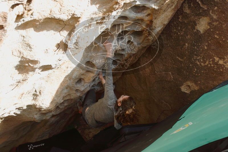 Bouldering in Hueco Tanks on 02/03/2019 with Blue Lizard Climbing and Yoga

Filename: SRM_20190203_1604080.jpg
Aperture: f/5.0
Shutter Speed: 1/1600
Body: Canon EOS-1D Mark II
Lens: Canon EF 16-35mm f/2.8 L