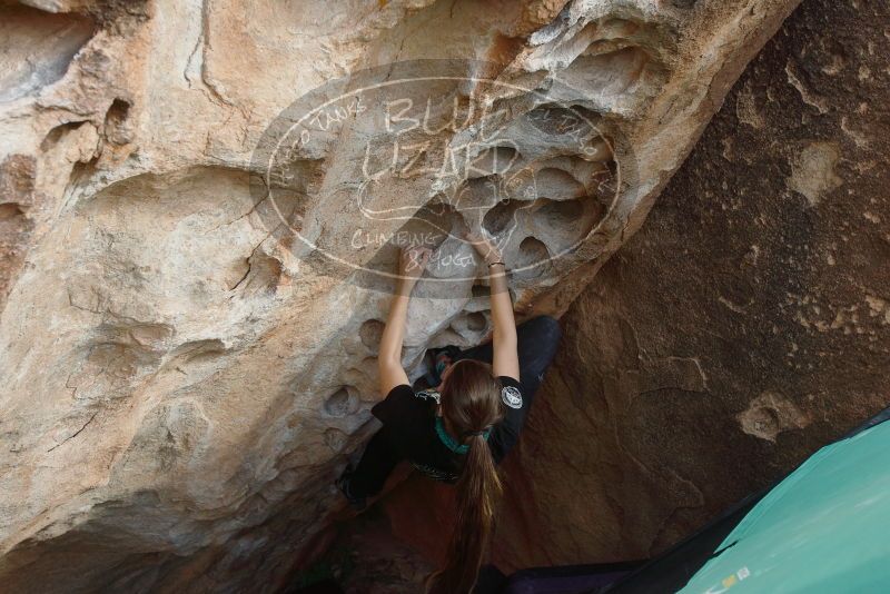 Bouldering in Hueco Tanks on 02/03/2019 with Blue Lizard Climbing and Yoga

Filename: SRM_20190203_1606210.jpg
Aperture: f/5.0
Shutter Speed: 1/800
Body: Canon EOS-1D Mark II
Lens: Canon EF 16-35mm f/2.8 L