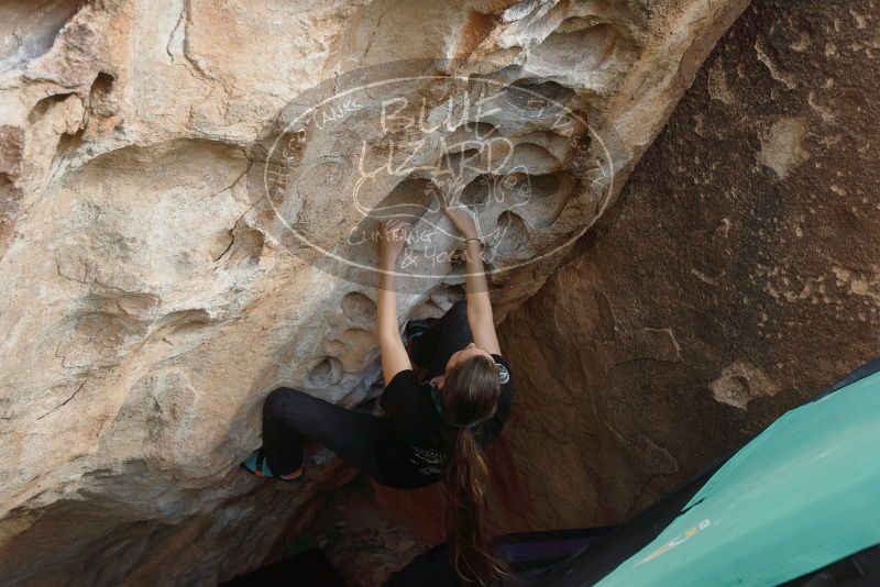 Bouldering in Hueco Tanks on 02/03/2019 with Blue Lizard Climbing and Yoga

Filename: SRM_20190203_1606250.jpg
Aperture: f/5.0
Shutter Speed: 1/800
Body: Canon EOS-1D Mark II
Lens: Canon EF 16-35mm f/2.8 L