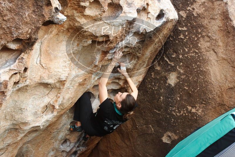 Bouldering in Hueco Tanks on 02/03/2019 with Blue Lizard Climbing and Yoga

Filename: SRM_20190203_1623030.jpg
Aperture: f/5.0
Shutter Speed: 1/500
Body: Canon EOS-1D Mark II
Lens: Canon EF 16-35mm f/2.8 L