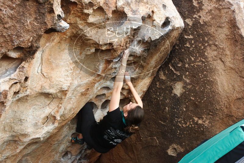 Bouldering in Hueco Tanks on 02/03/2019 with Blue Lizard Climbing and Yoga

Filename: SRM_20190203_1623040.jpg
Aperture: f/5.0
Shutter Speed: 1/500
Body: Canon EOS-1D Mark II
Lens: Canon EF 16-35mm f/2.8 L