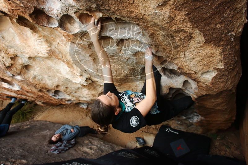 Bouldering in Hueco Tanks on 02/03/2019 with Blue Lizard Climbing and Yoga

Filename: SRM_20190203_1628210.jpg
Aperture: f/5.0
Shutter Speed: 1/320
Body: Canon EOS-1D Mark II
Lens: Canon EF 16-35mm f/2.8 L