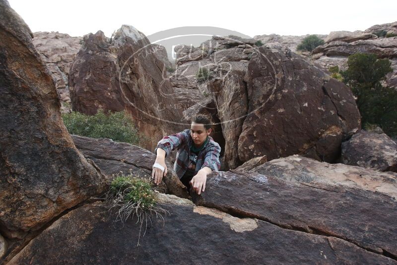 Bouldering in Hueco Tanks on 02/03/2019 with Blue Lizard Climbing and Yoga

Filename: SRM_20190203_1654290.jpg
Aperture: f/5.6
Shutter Speed: 1/320
Body: Canon EOS-1D Mark II
Lens: Canon EF 16-35mm f/2.8 L