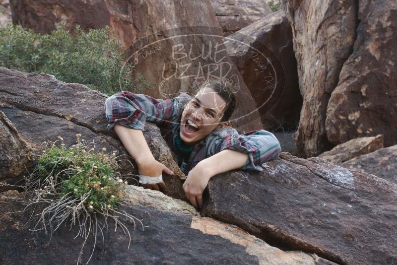 Bouldering in Hueco Tanks on 02/03/2019 with Blue Lizard Climbing and Yoga

Filename: SRM_20190203_1654350.jpg
Aperture: f/5.6
Shutter Speed: 1/250
Body: Canon EOS-1D Mark II
Lens: Canon EF 16-35mm f/2.8 L