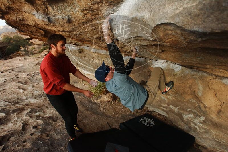 Bouldering in Hueco Tanks on 02/03/2019 with Blue Lizard Climbing and Yoga

Filename: SRM_20190203_1754250.jpg
Aperture: f/5.6
Shutter Speed: 1/320
Body: Canon EOS-1D Mark II
Lens: Canon EF 16-35mm f/2.8 L