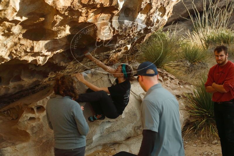 Bouldering in Hueco Tanks on 02/03/2019 with Blue Lizard Climbing and Yoga

Filename: SRM_20190203_1803520.jpg
Aperture: f/4.0
Shutter Speed: 1/200
Body: Canon EOS-1D Mark II
Lens: Canon EF 50mm f/1.8 II