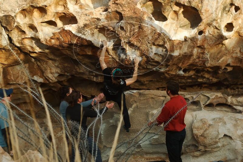 Bouldering in Hueco Tanks on 02/03/2019 with Blue Lizard Climbing and Yoga

Filename: SRM_20190203_1810060.jpg
Aperture: f/3.2
Shutter Speed: 1/320
Body: Canon EOS-1D Mark II
Lens: Canon EF 50mm f/1.8 II