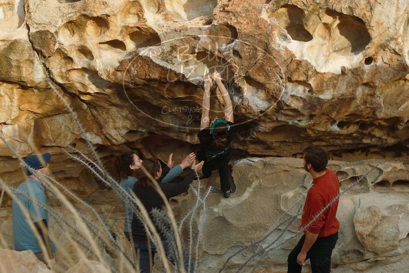 Bouldering in Hueco Tanks on 02/03/2019 with Blue Lizard Climbing and Yoga

Filename: SRM_20190203_1810090.jpg
Aperture: f/3.2
Shutter Speed: 1/320
Body: Canon EOS-1D Mark II
Lens: Canon EF 50mm f/1.8 II