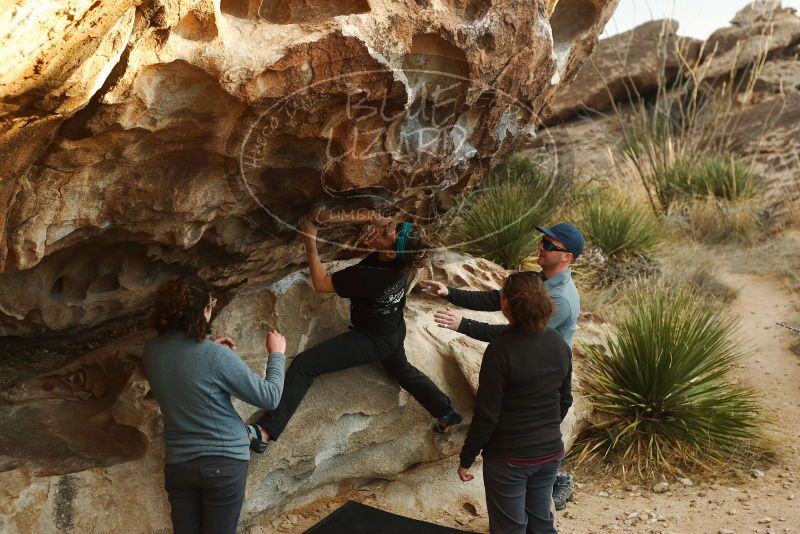 Bouldering in Hueco Tanks on 02/03/2019 with Blue Lizard Climbing and Yoga

Filename: SRM_20190203_1822350.jpg
Aperture: f/4.0
Shutter Speed: 1/320
Body: Canon EOS-1D Mark II
Lens: Canon EF 50mm f/1.8 II