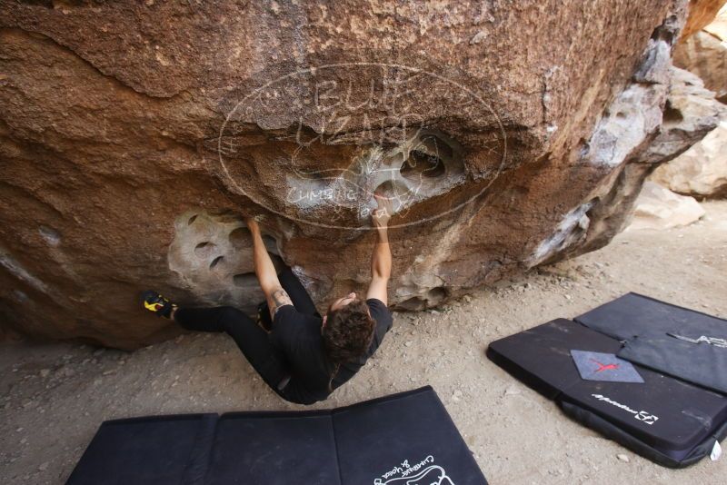 Bouldering in Hueco Tanks on 02/02/2019 with Blue Lizard Climbing and Yoga

Filename: SRM_20190202_1114050.jpg
Aperture: f/5.6
Shutter Speed: 1/200
Body: Canon EOS-1D Mark II
Lens: Canon EF 16-35mm f/2.8 L