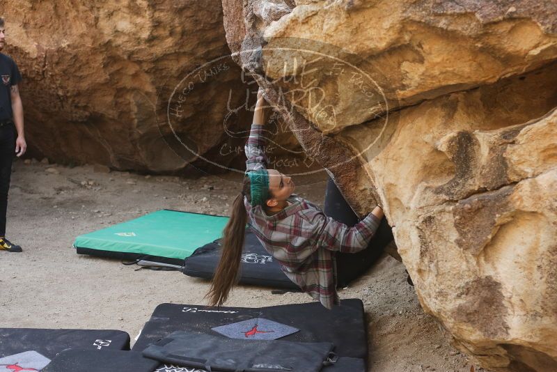 Bouldering in Hueco Tanks on 02/02/2019 with Blue Lizard Climbing and Yoga

Filename: SRM_20190202_1130000.jpg
Aperture: f/4.0
Shutter Speed: 1/320
Body: Canon EOS-1D Mark II
Lens: Canon EF 50mm f/1.8 II