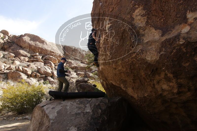 Bouldering in Hueco Tanks on 02/02/2019 with Blue Lizard Climbing and Yoga

Filename: SRM_20190202_1141060.jpg
Aperture: f/5.6
Shutter Speed: 1/400
Body: Canon EOS-1D Mark II
Lens: Canon EF 16-35mm f/2.8 L