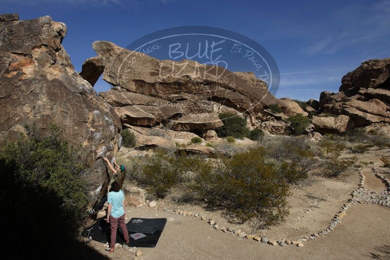 Bouldering in Hueco Tanks on 02/02/2019 with Blue Lizard Climbing and Yoga

Filename: SRM_20190202_1142230.jpg
Aperture: f/5.6
Shutter Speed: 1/500
Body: Canon EOS-1D Mark II
Lens: Canon EF 16-35mm f/2.8 L