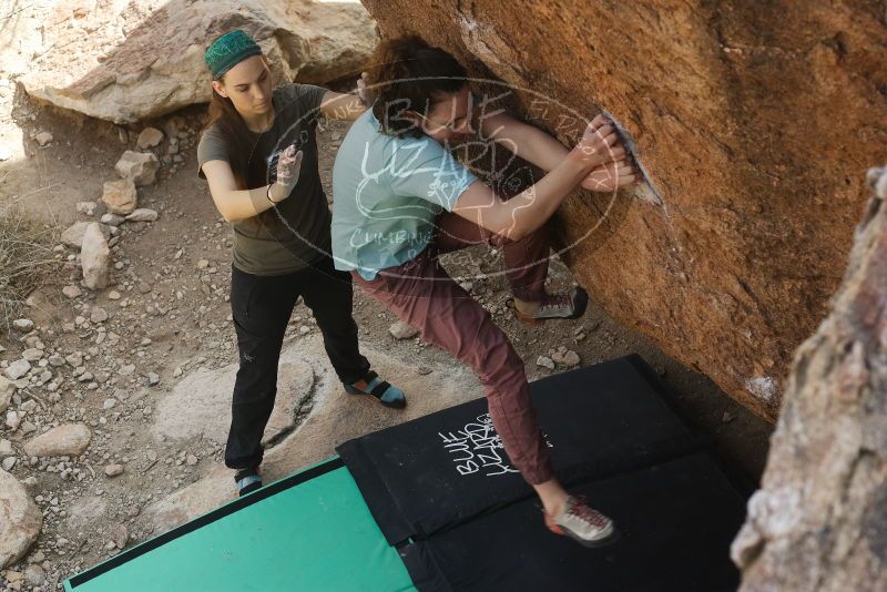 Bouldering in Hueco Tanks on 02/02/2019 with Blue Lizard Climbing and Yoga

Filename: SRM_20190202_1217130.jpg
Aperture: f/4.5
Shutter Speed: 1/320
Body: Canon EOS-1D Mark II
Lens: Canon EF 50mm f/1.8 II