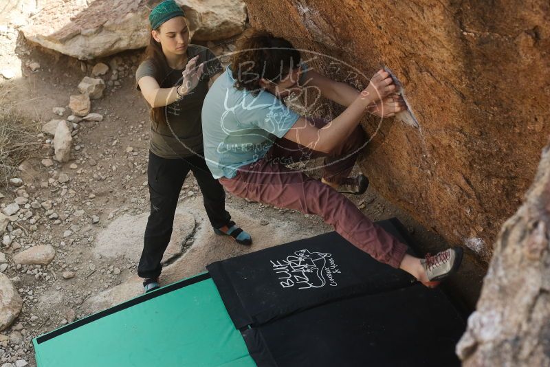 Bouldering in Hueco Tanks on 02/02/2019 with Blue Lizard Climbing and Yoga

Filename: SRM_20190202_1217420.jpg
Aperture: f/4.5
Shutter Speed: 1/320
Body: Canon EOS-1D Mark II
Lens: Canon EF 50mm f/1.8 II