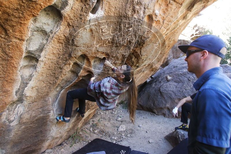 Bouldering in Hueco Tanks on 02/02/2019 with Blue Lizard Climbing and Yoga

Filename: SRM_20190202_1325100.jpg
Aperture: f/4.0
Shutter Speed: 1/200
Body: Canon EOS-1D Mark II
Lens: Canon EF 16-35mm f/2.8 L