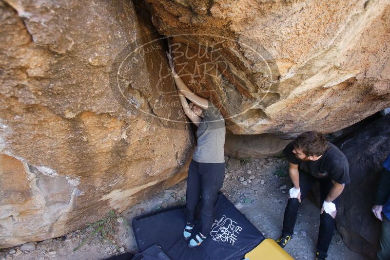 Bouldering in Hueco Tanks on 02/02/2019 with Blue Lizard Climbing and Yoga

Filename: SRM_20190202_1332130.jpg
Aperture: f/3.5
Shutter Speed: 1/200
Body: Canon EOS-1D Mark II
Lens: Canon EF 16-35mm f/2.8 L