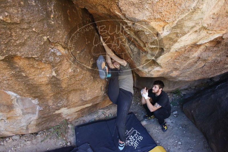 Bouldering in Hueco Tanks on 02/02/2019 with Blue Lizard Climbing and Yoga

Filename: SRM_20190202_1334200.jpg
Aperture: f/4.5
Shutter Speed: 1/200
Body: Canon EOS-1D Mark II
Lens: Canon EF 16-35mm f/2.8 L