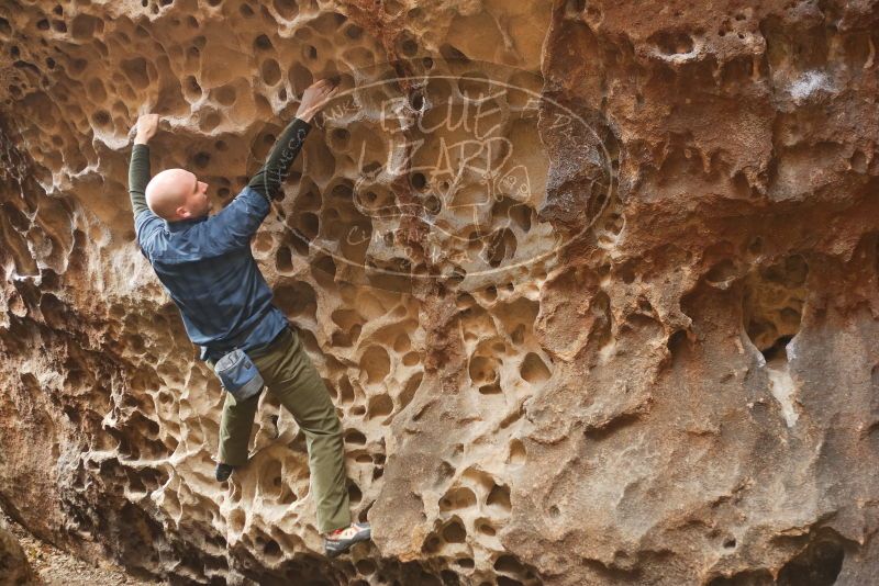 Bouldering in Hueco Tanks on 02/02/2019 with Blue Lizard Climbing and Yoga

Filename: SRM_20190202_1452450.jpg
Aperture: f/2.8
Shutter Speed: 1/125
Body: Canon EOS-1D Mark II
Lens: Canon EF 50mm f/1.8 II