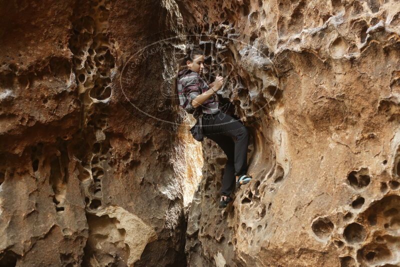 Bouldering in Hueco Tanks on 02/02/2019 with Blue Lizard Climbing and Yoga

Filename: SRM_20190202_1458490.jpg
Aperture: f/3.5
Shutter Speed: 1/125
Body: Canon EOS-1D Mark II
Lens: Canon EF 50mm f/1.8 II