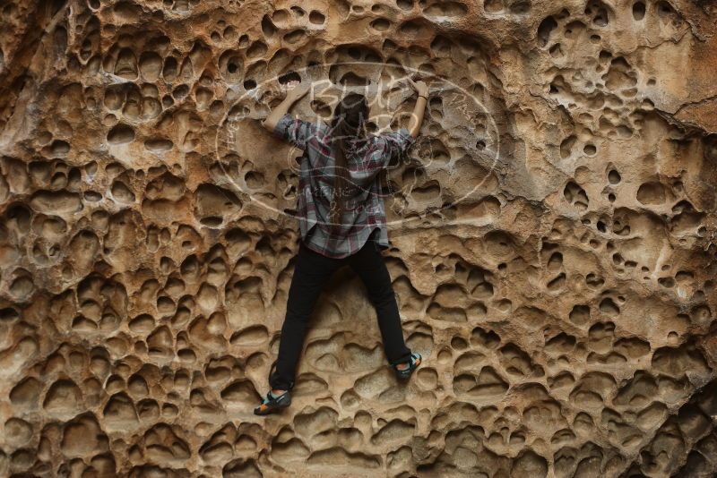 Bouldering in Hueco Tanks on 02/02/2019 with Blue Lizard Climbing and Yoga

Filename: SRM_20190202_1501590.jpg
Aperture: f/3.5
Shutter Speed: 1/200
Body: Canon EOS-1D Mark II
Lens: Canon EF 50mm f/1.8 II