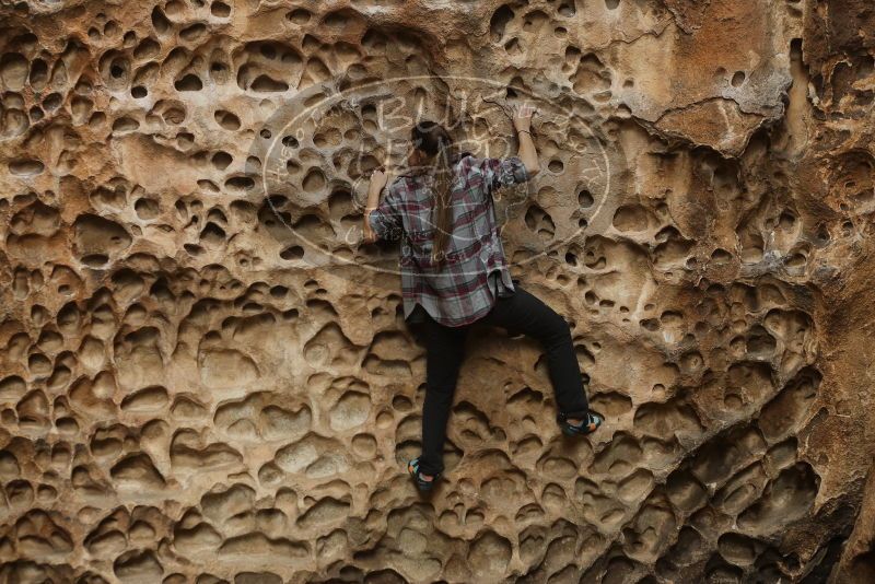 Bouldering in Hueco Tanks on 02/02/2019 with Blue Lizard Climbing and Yoga

Filename: SRM_20190202_1502210.jpg
Aperture: f/3.5
Shutter Speed: 1/200
Body: Canon EOS-1D Mark II
Lens: Canon EF 50mm f/1.8 II