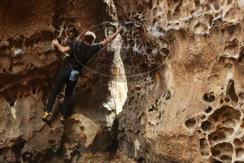 Bouldering in Hueco Tanks on 02/02/2019 with Blue Lizard Climbing and Yoga

Filename: SRM_20190202_1502331.jpg
Aperture: f/3.5
Shutter Speed: 1/125
Body: Canon EOS-1D Mark II
Lens: Canon EF 50mm f/1.8 II